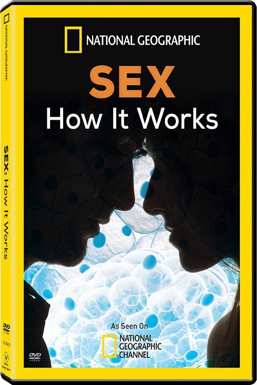Sex: How It Works (2013) movie poster
