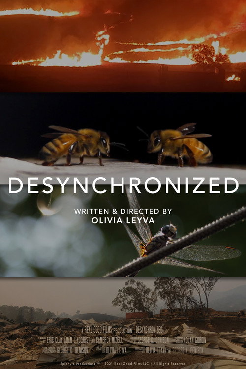 Desynchronized (2021) movie poster