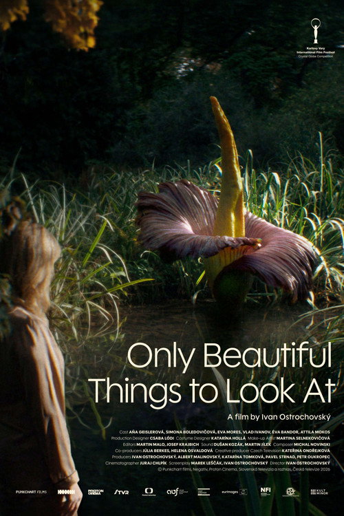 Only Beautiful Things to Look At (2026) movie poster