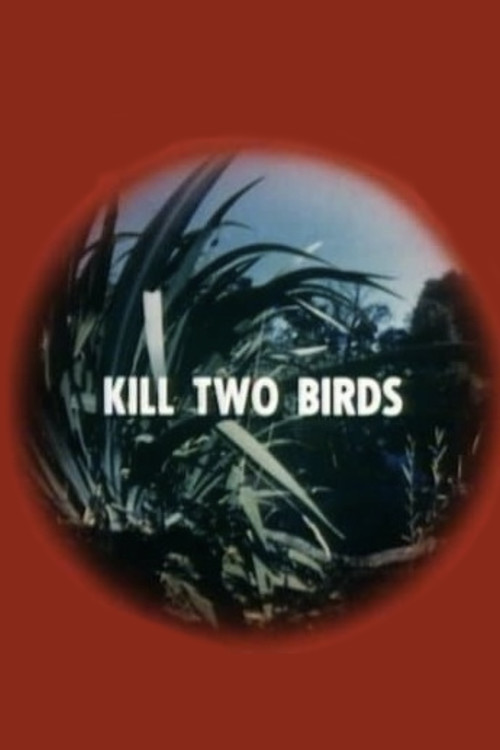 Kill Two Birds (1975) movie poster