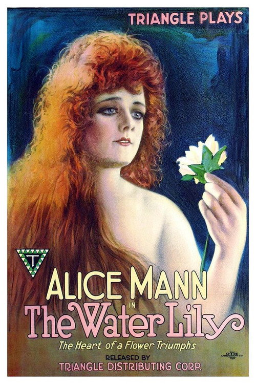 The Water Lily (1919) movie poster