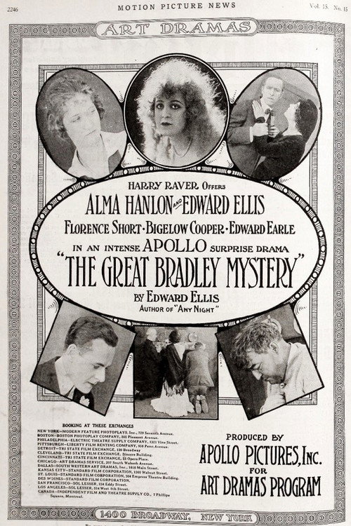 The Great Bradley Mystery (1917) movie poster