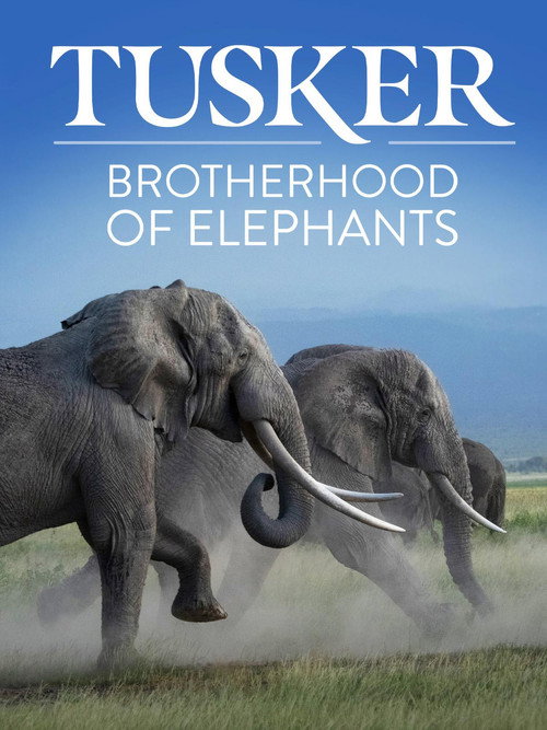 Tusker: Brotherhood of Elephants (2026) movie poster