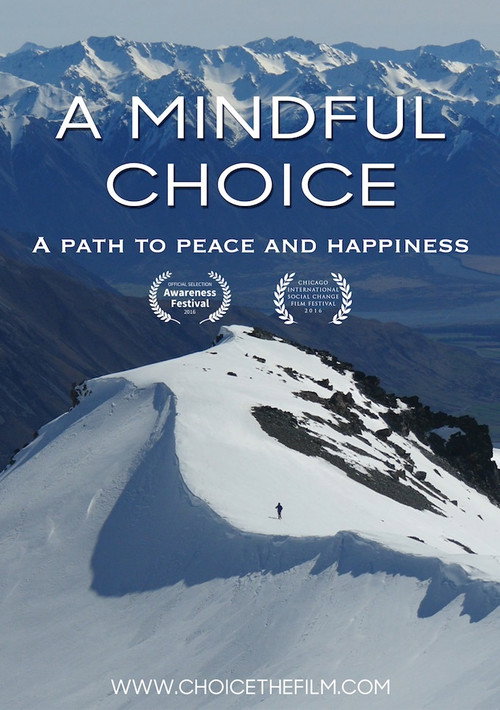 A Mindful Choice (2016) movie poster