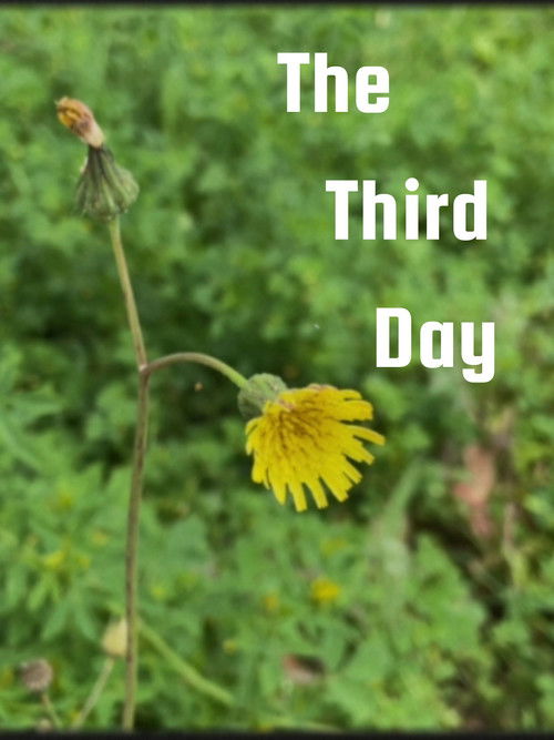 The Third Day (2024) movie poster