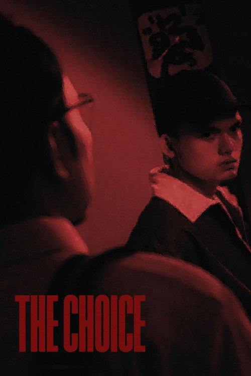 The Choice (2025) movie poster