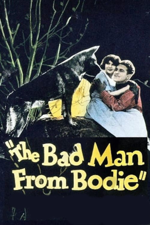 Bad Man from Bodie (1925) movie poster