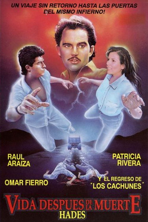 Hades: Life After Death (1993) movie poster