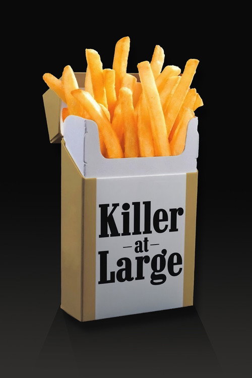 Killer at Large (2008) movie poster