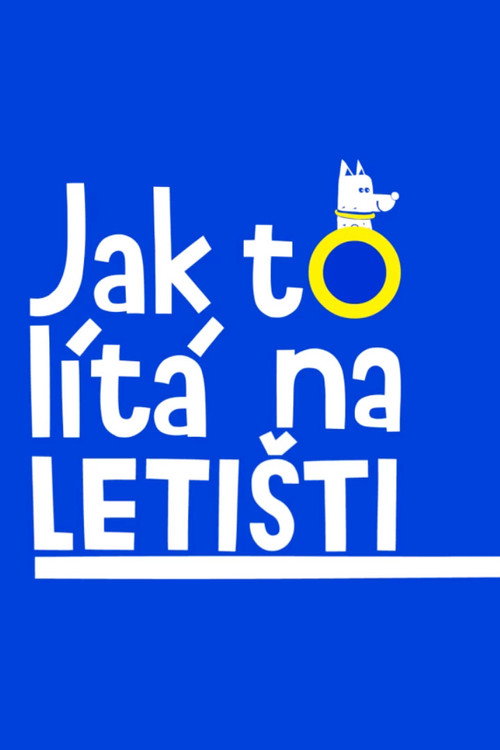 Jak to lítá na letišti (2020) TV show poster