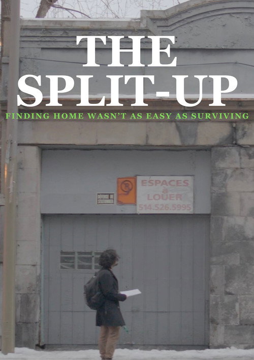 The Split-Up (2024) movie poster