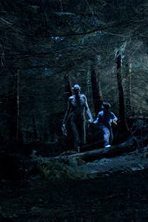 Ordan's Forest (2005) movie poster