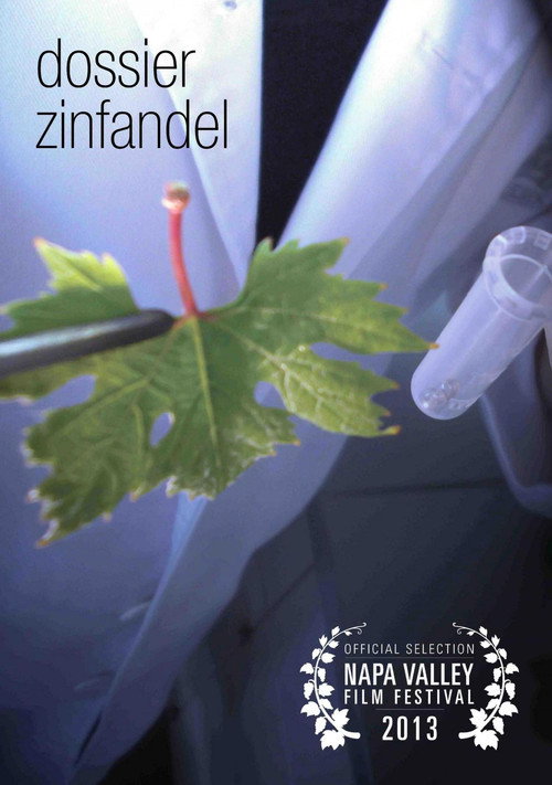 Dossier Zinfandel (2013) movie poster
