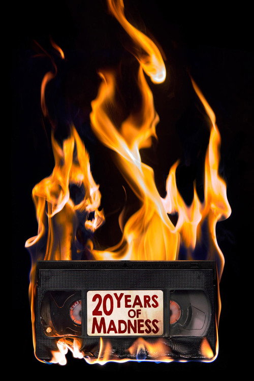 20 Years Of Madness (2016) movie poster