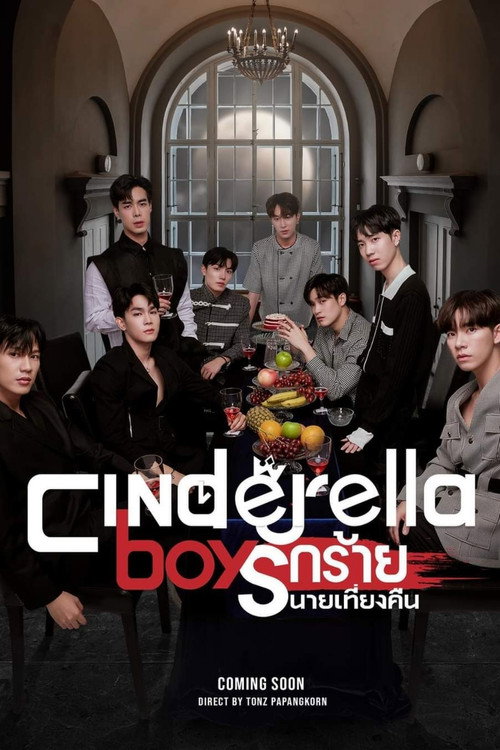 Cinderella Boys TV show poster