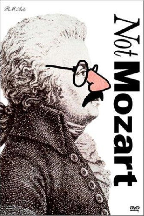 Not Mozart: Letters, Riddles and Writs (1991) movie poster
