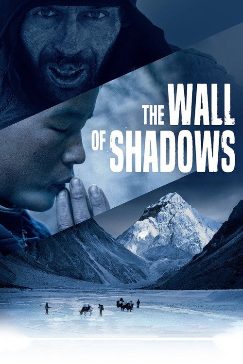 The Wall of Shadows (2021) movie poster