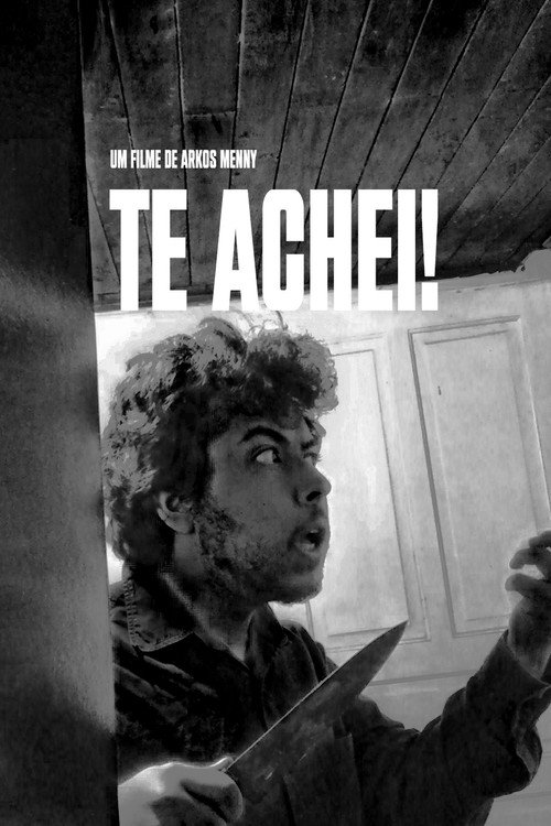 Te Achei! (2016) movie poster