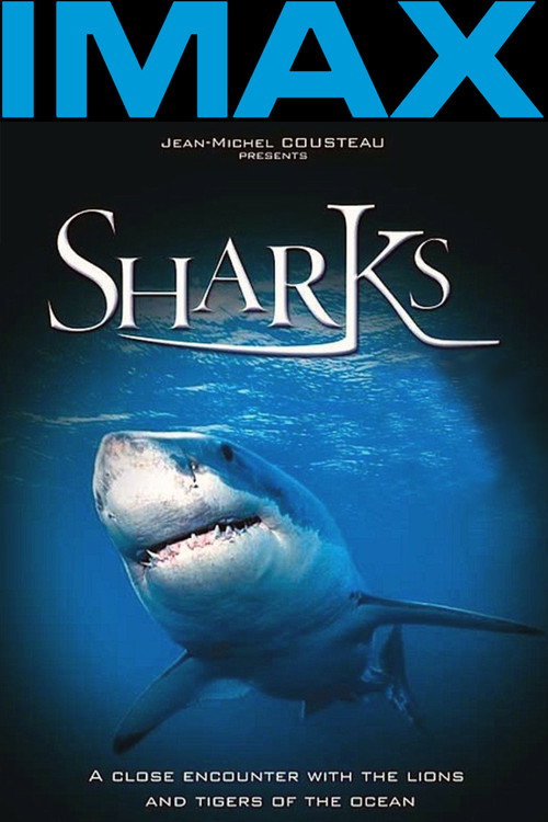 Sharks 3D (2004) movie poster