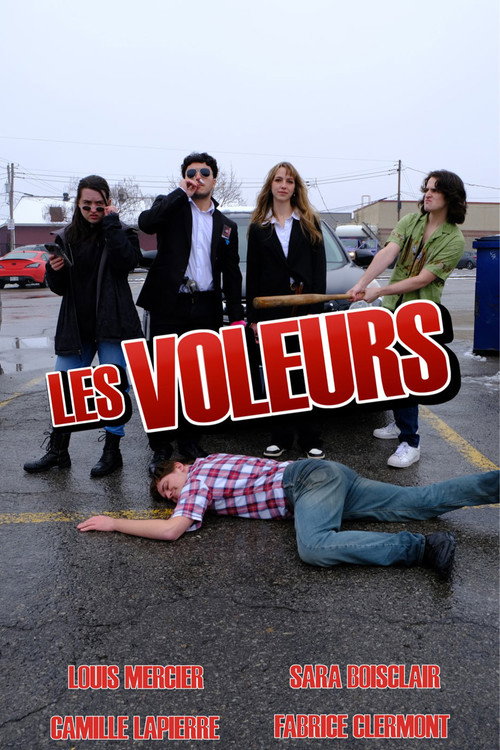 The Thieves (2024) movie poster