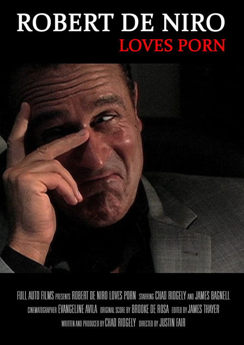 Robert De Niro Loves Porn (2010) movie poster
