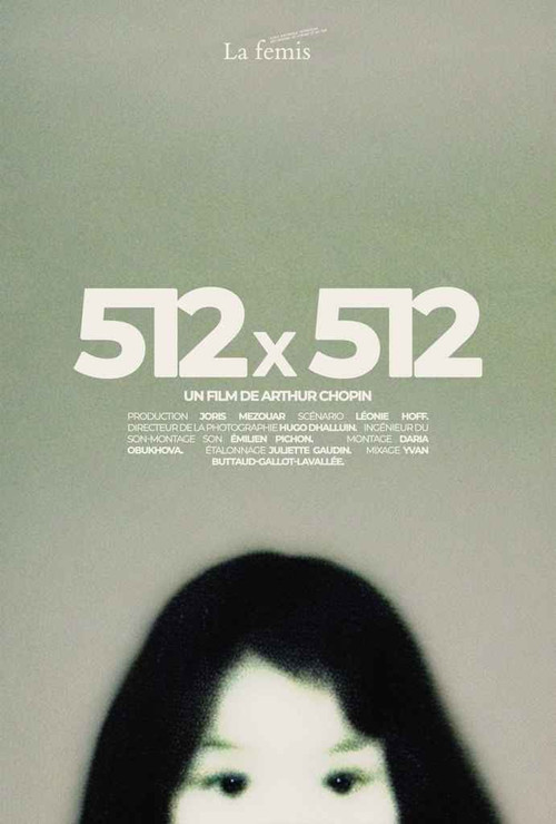 512X512 (2023) movie poster