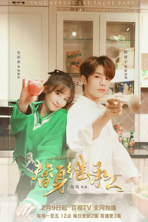 Surrogate Heir (2022) TV show poster