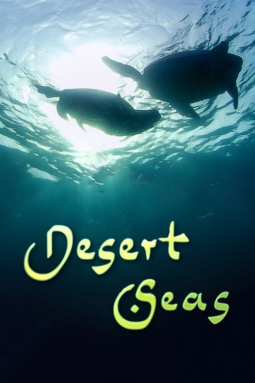 Desert Seas (2011) movie poster