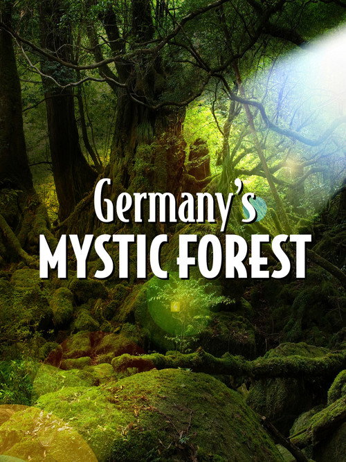Germany's Mystic Forest (2020) movie poster