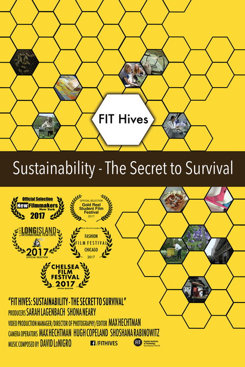 FIT Hives: Sustainability - The Secret to Survival (2017) movie poster