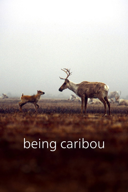 Being Caribou (2005) movie poster