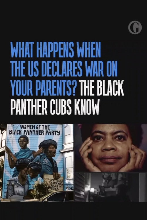 The Black Panther Cubs: when the revolution doesn't come (2025) movie poster