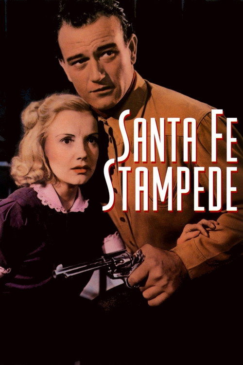 Santa Fe Stampede (1938) movie poster