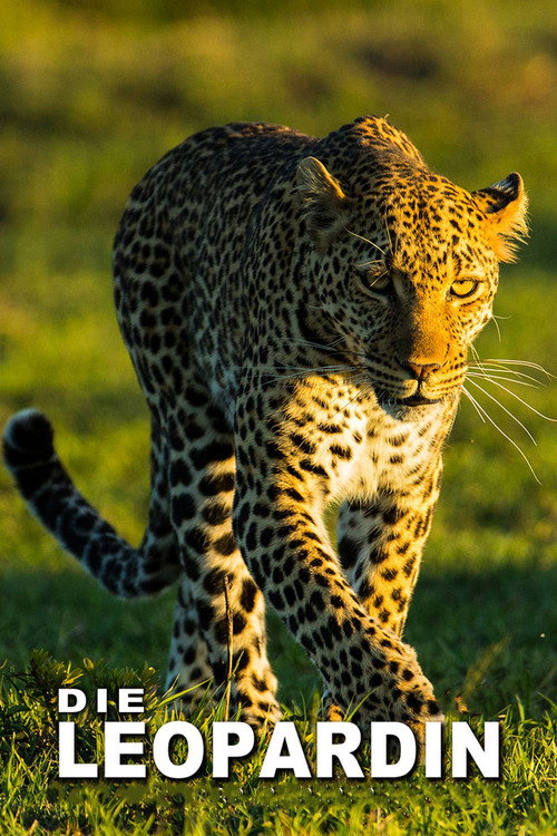 The Leopardess (2021) TV show poster