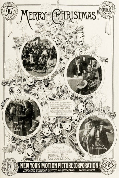Two-Gun Hicks (1914) movie poster
