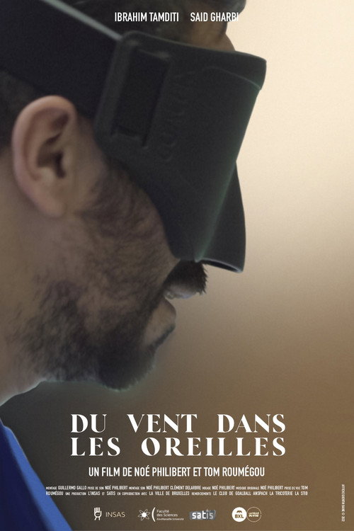 Du vent dans les oreilles (2022) movie poster