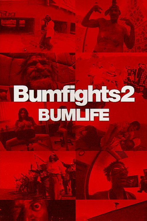 Bumfights Vol. 2: Bumlife (2003) movie poster