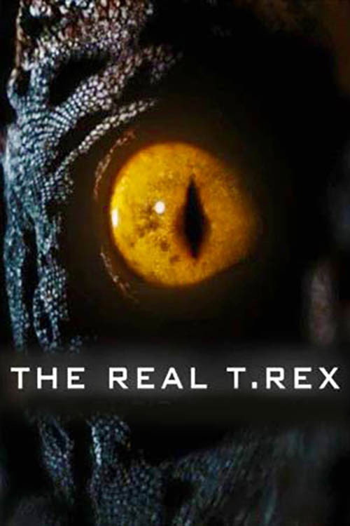 The Real T Rex with Chris Packham (2018) movie poster