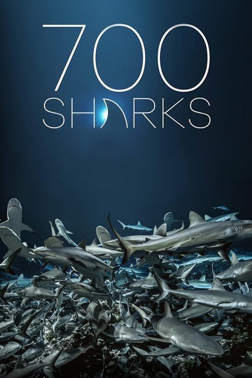 700 Sharks (2018) movie poster