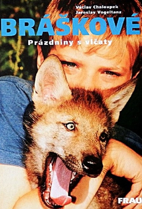 Bráškové (2003) TV show poster