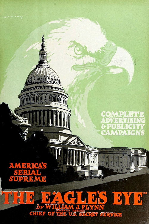 The Eagle's Eye (1918) movie poster