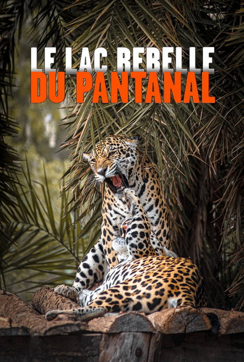 The Pantanal's Rebel Lake (2019) movie poster