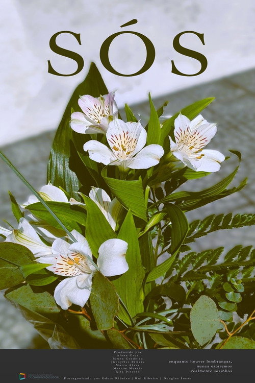 Sós (2025) movie poster