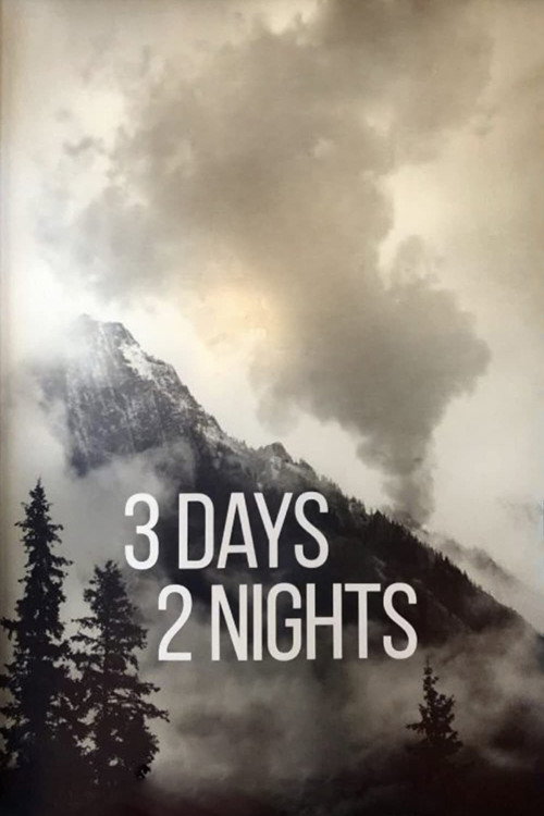 3 Days 2 Nights (2019) movie poster