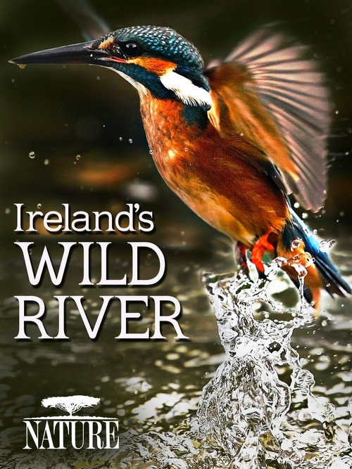 Ireland's Wild River (2014) movie poster