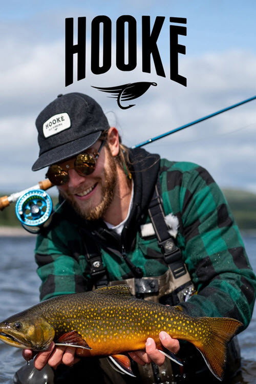 Hooké (2016) TV show poster