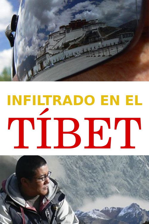 Undercover in Tibet (2008) movie poster