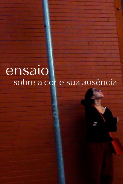 Essay on color and its absence (2022) movie poster