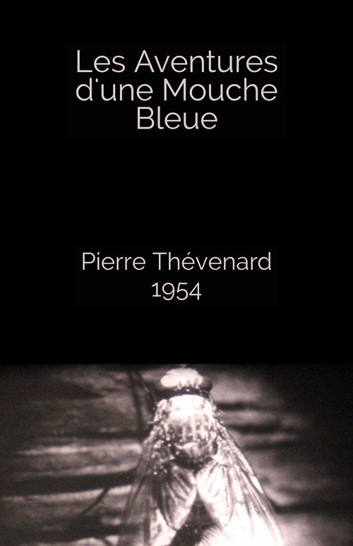 The Adventures of a Blue Fly (1954) movie poster