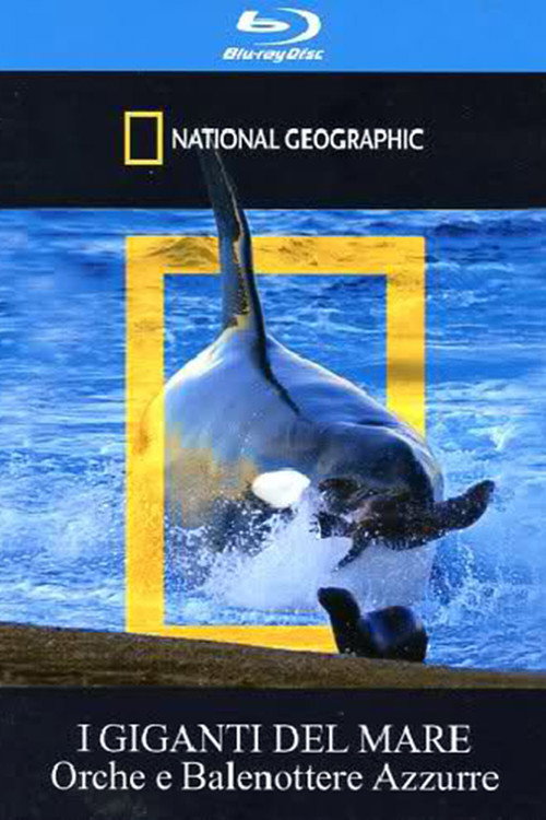 Orca Killing School (2009) movie poster